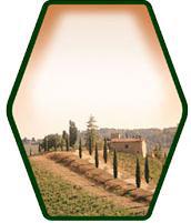 Tuscan Vineyard - MacDay Wine Labels (30 pack)