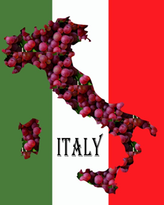 Fresh Italian Grape Juice - Whites