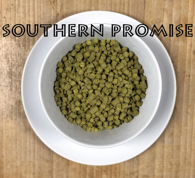 Southern Promise