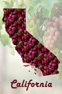 Fresh Californian Grape Juice - Whites & Blushes