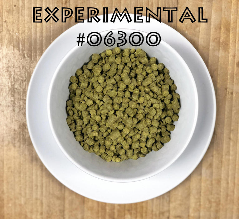 Experimental #06300